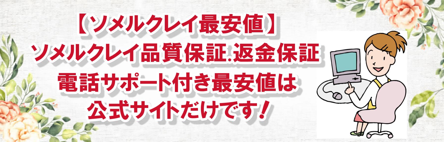 【ソメルクレイ最安値】品質保証.返金保証付き正規品の購入はココ